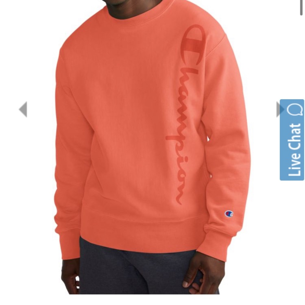 🍁Champion sweater